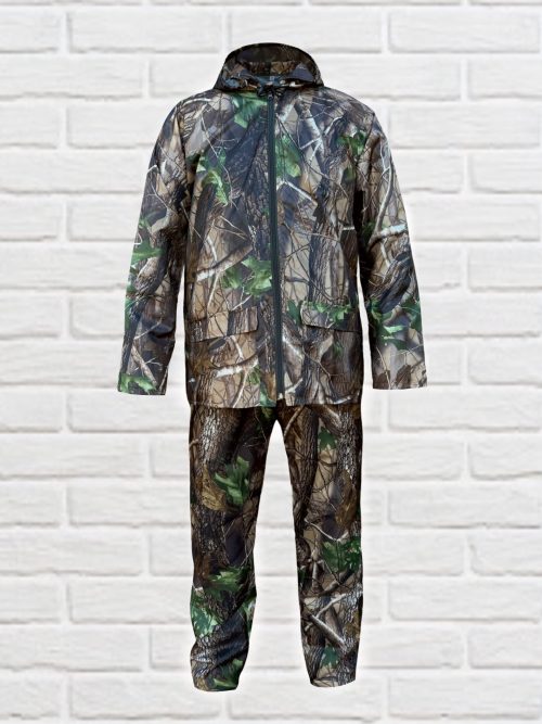 Дощовик (ліс)